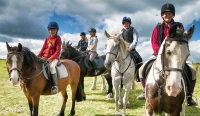 6 Night Teenage Riding Holiday 28th July 2024